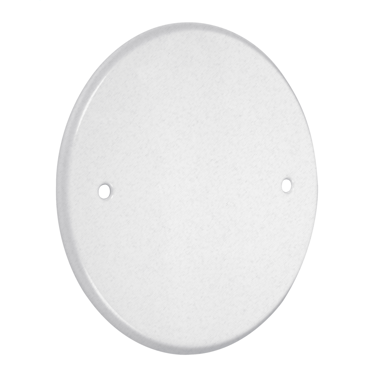 LPB3400 Round Standard Blank Wall Plate, 5 in W x 5 in H, Steel, White