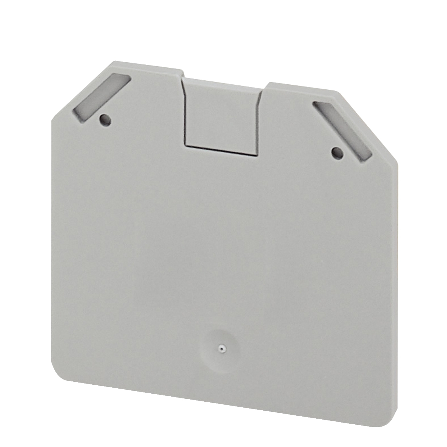 NSYTRAC162 2-Point End Cover Plate, For Use With NSYTRV162 16 sq-mm Screw Terminal Block, 2-Terminal, Gray