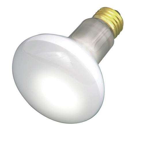 S2810 Dimmable Reflector Incandescent Lamp, 30 W, E26 Incandescent Lamp, R20 Shape, 185 Lumens Initial