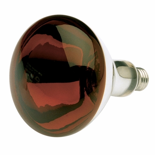 S4884 Coated Dimmable Shatter Proof Incandescent Lamp, 250 W, E26 Incandescent Lamp, R40 Shape