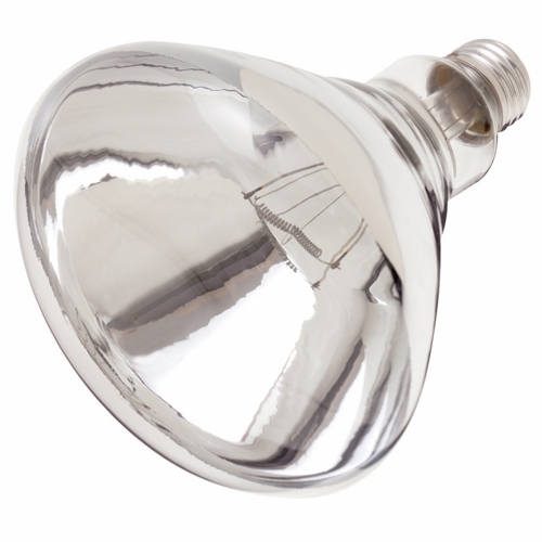 S4885 Coated Dimmable Shatter Proof Incandescent Lamp, 250 W, E26 Incandescent Lamp, R40 Shape