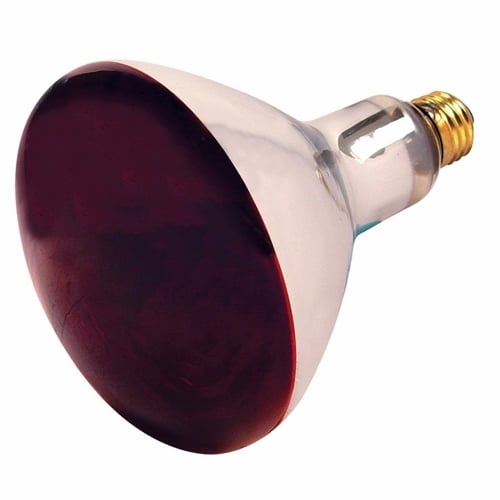 S4998 Dimmable General Service Reflective Lamp, 250 W, E26 Incandescent Lamp, R40 Shape