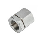 Stainless Steel 316 3 Pc Coupling 3/4"