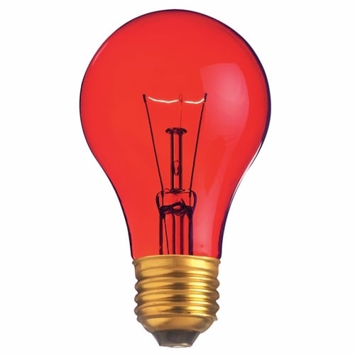 S6080 Dimmable General Service Incandescent Lamp, 25 W, E26 Incandescent Lamp, A19 Shape