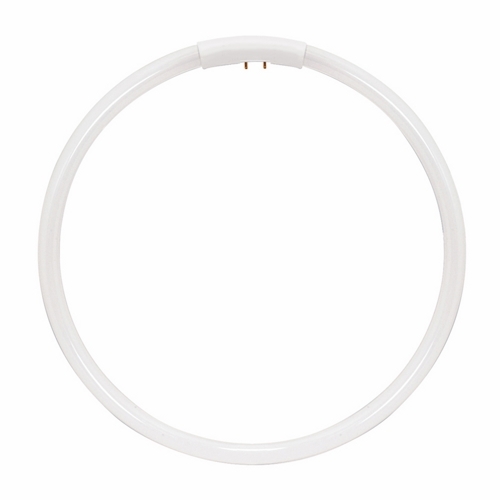 S8166 HyGrade High Performance Circline Fluorescent Lamp, 22 W, 5/8 in OAD, T5 Shape, 1800 Lumens Initial Lumens