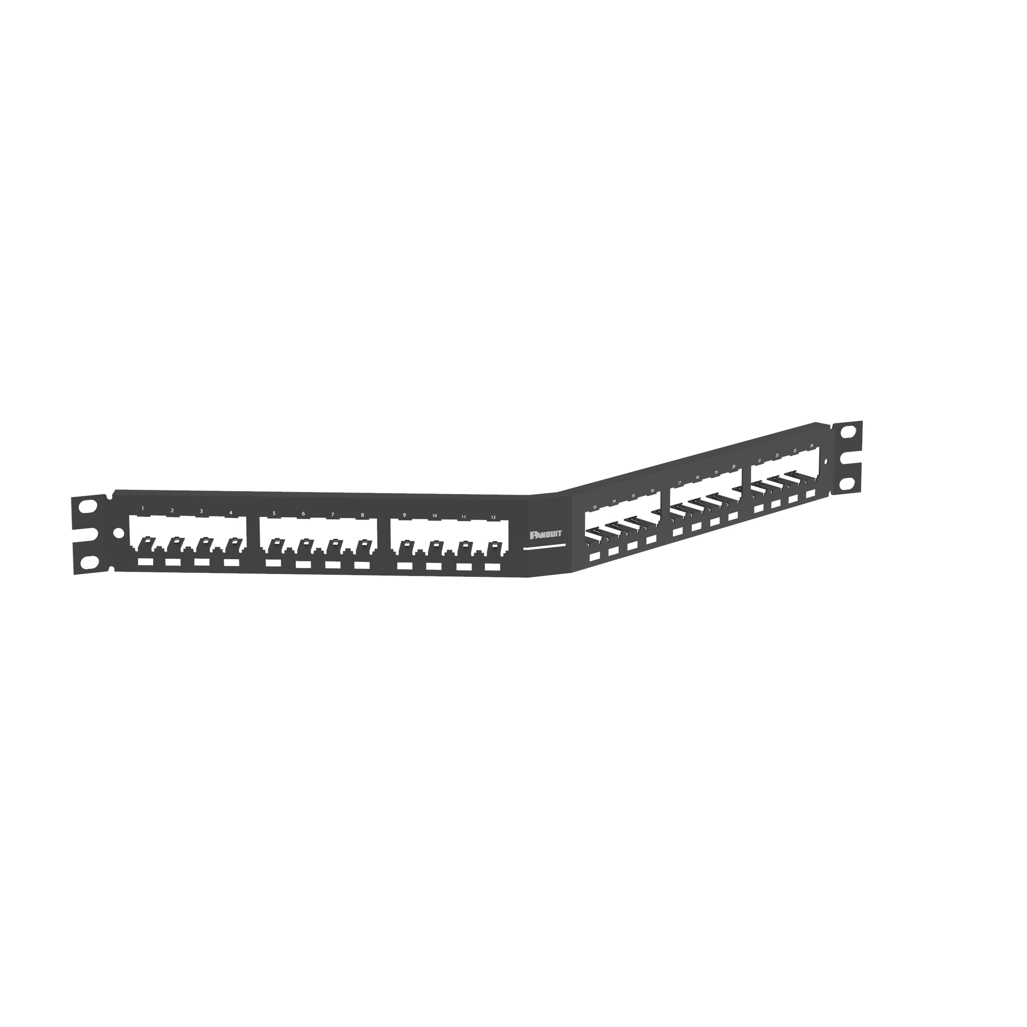 CPA24BLY Mini-Com PanNet 1RU All Metal Angled Shielded Modular Patch Panel, 24 Ports, Stainless Steel