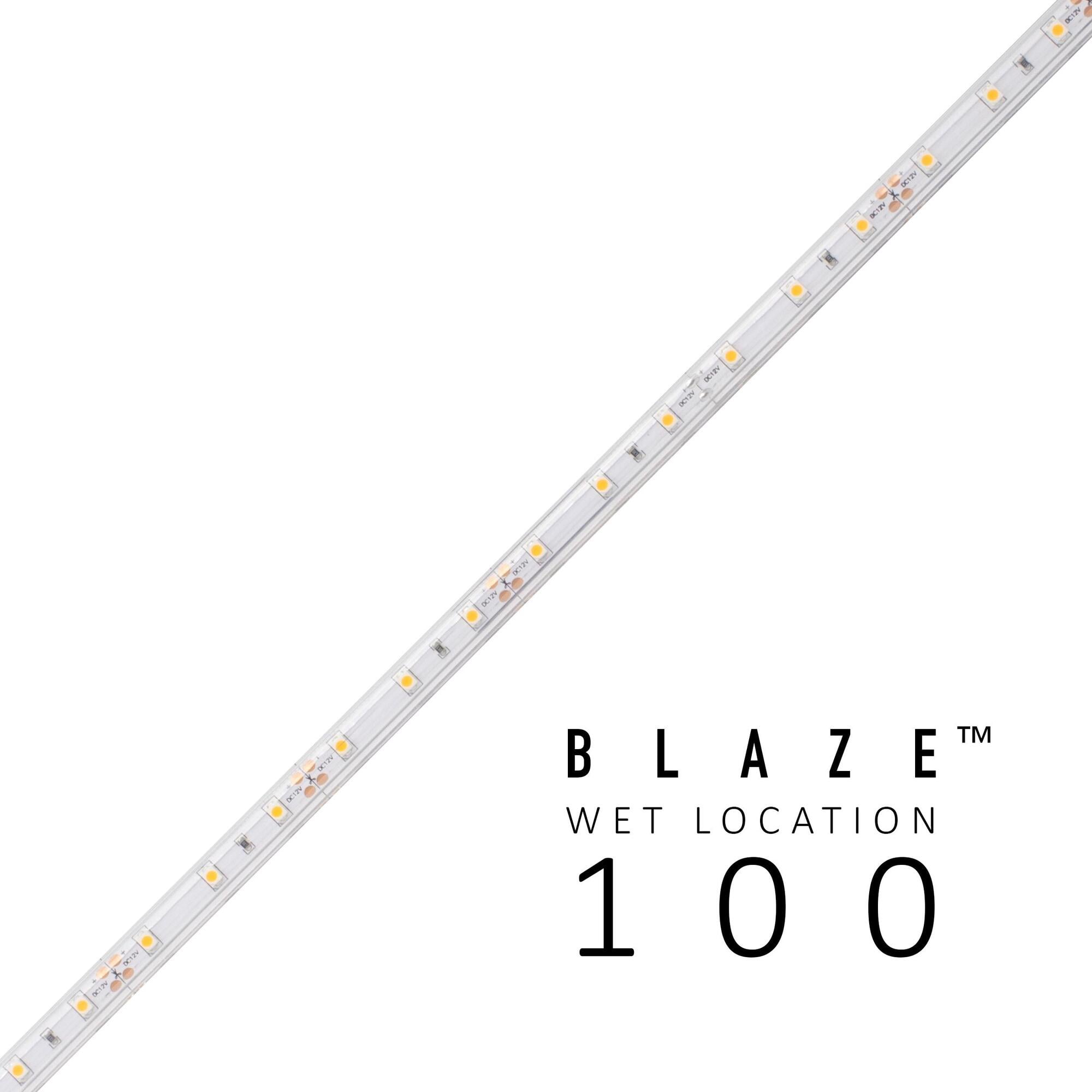 BLAZE 100 Wet Location Strip Light, 12V, 5000K, 16.4 ft. Spool