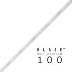BLAZE 100 Wet Location Strip Light, 12V, 3000K, 16.4 ft. Spool