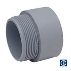 PVC Terminal Adapter, 2 Inch