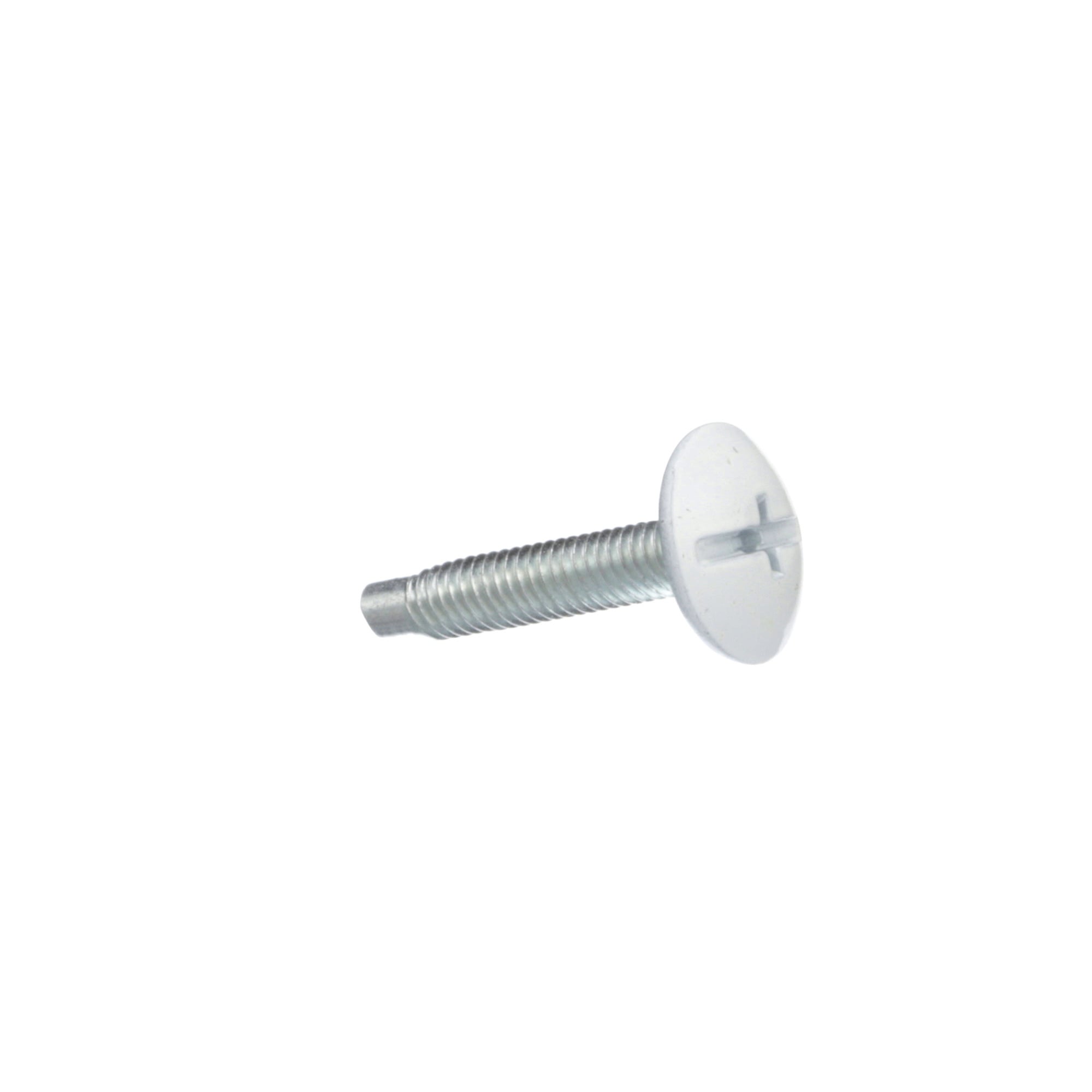 ECTS2W Trim Screw, For Use With and Murray Ultimate Load Center, White