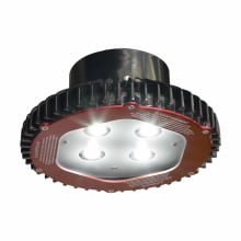 VLA2 Vaporgard 1-Hub Pendant Mounting Module, For Use With Vaporgard LED Luminaires, 3/4 in NPT Hub, LED Lamp, Copper-Free Aluminum