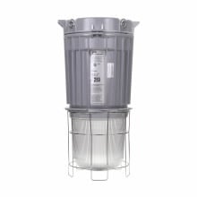 VMVM2C250GP/MTS828 Champ High Wattage HID Luminaire With G303 Globe, 120/208/240/277 VAC, Epoxy Powder Coated Housing