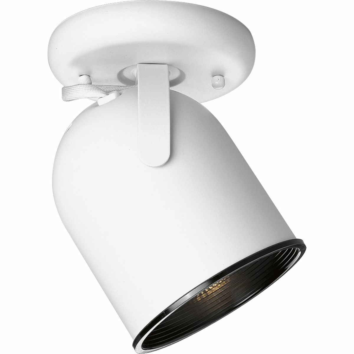 P6144-30 Contemporary/Modern/Transitional Directional Light, Halogen Lamp, 120 V AC, Steel Housing