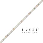 BLAZE 200 LED Tape Light, 24V, 2700K, 16.4 ft. Spool