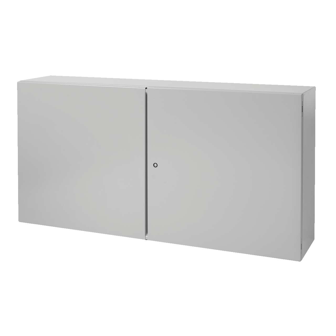CTD244210 Concept CW1 2-Door Enclosure, 24 in L x 42 in W x 10 in D, NEMA 12/IP55 NEMA Rating, Steel