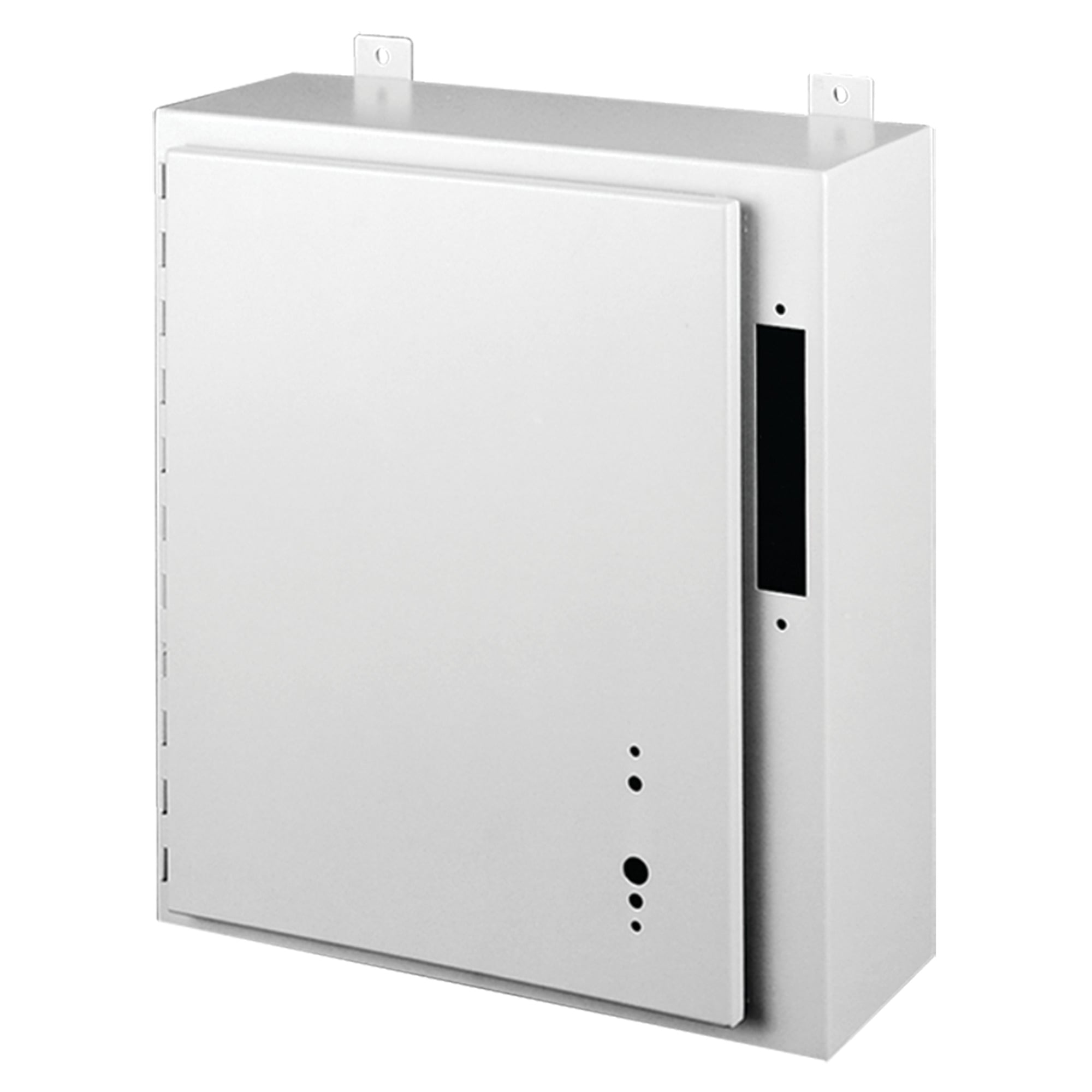 A60AB3810LP A22 Fixed Depth Disconnect Enclosure, 60 in L x 37.38 in W x 10 in D, NEMA 12/IP65 NEMA Rating, Steel