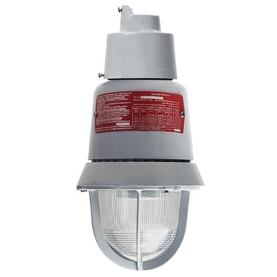 116EXMSTR-N5 AdaptaBeacon 116EXMST Explosionproof Strobe Beacon, 120 V AC, Xenon Lamp, 7-1/4 in Dia, Stanchion Mount, Red Lens