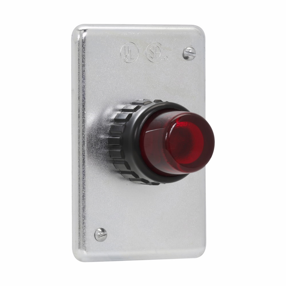 DS24 DS Series Electric Box Pilot Light Cover, Sheet Steel