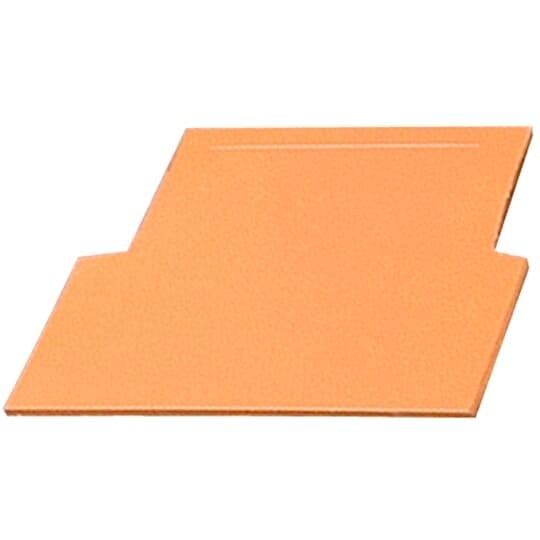 SCDIV Carlon Non-Metallic Divider Plate, For Use With SuperBlue 2-Gang Device Box