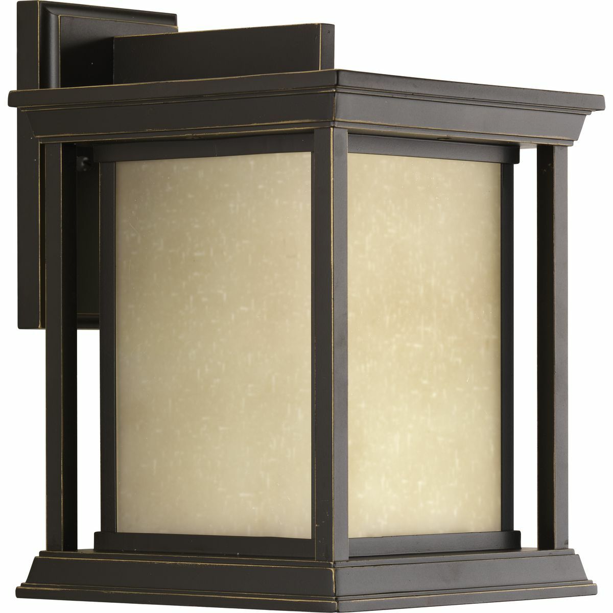 P5611-20 Endicott Large Pre-Wired Traditional/Casual/Transitional/Coastal/Farmhouse Wall Lantern, 100 W, E26 Incandescent Lamp, A19 Shape