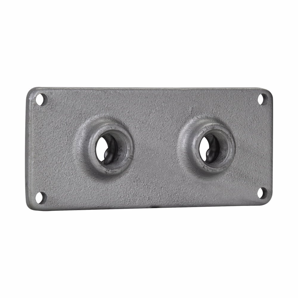 RSP44 4E Raintight Conduit Hub Plate, (2) 1-1/4 in Hub, For Use With 8-1/2 x 4 in Sides of RS and RSM Series Junction Boxes, Feraloy Iron Alloy