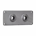 Eaton Crouse-Hinds series RS/RSM conduit hub plate, 8-1/2" x 4", Feraloy iron alloy, 2 hubs, 1-1/4" trade size