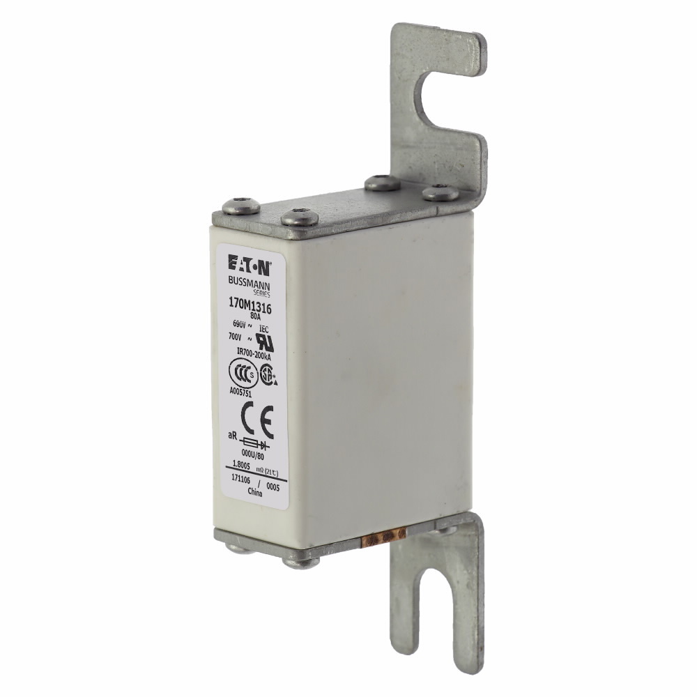 170M1316 Type U/80 High Speed Fuse, 80 A, 690 V, 200 kA Interrupt, Class: aR, Square Body