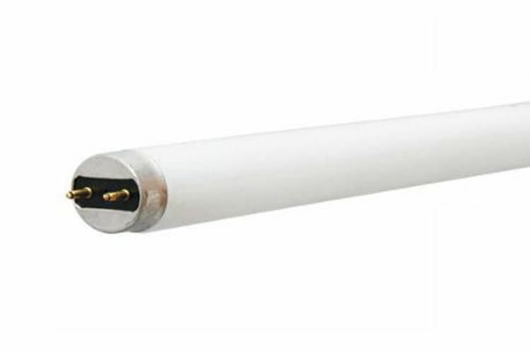 68853 4 ft Tube Fluorescent Lamp, T8, Medium Bi-Pin (G13), 32W, 5000K, 82 CRI, 2900 LM