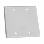 Eaton Crouse-Hinds series weatherproof blank outlet cover, Bronze, Steel, Two-gang