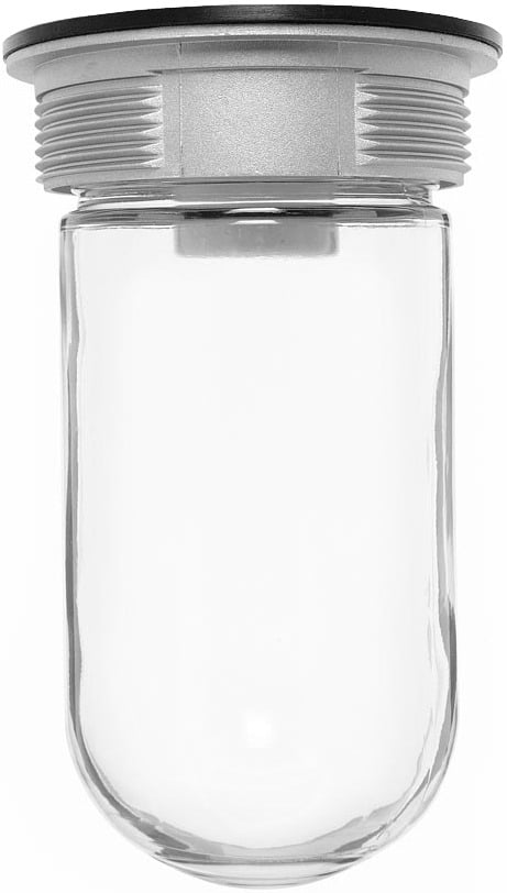 VC200 Vaporproof Light Fixture With Clear Glass Globe,) A19 Lamp, 120/208/240/277 V AC, Natural Housing