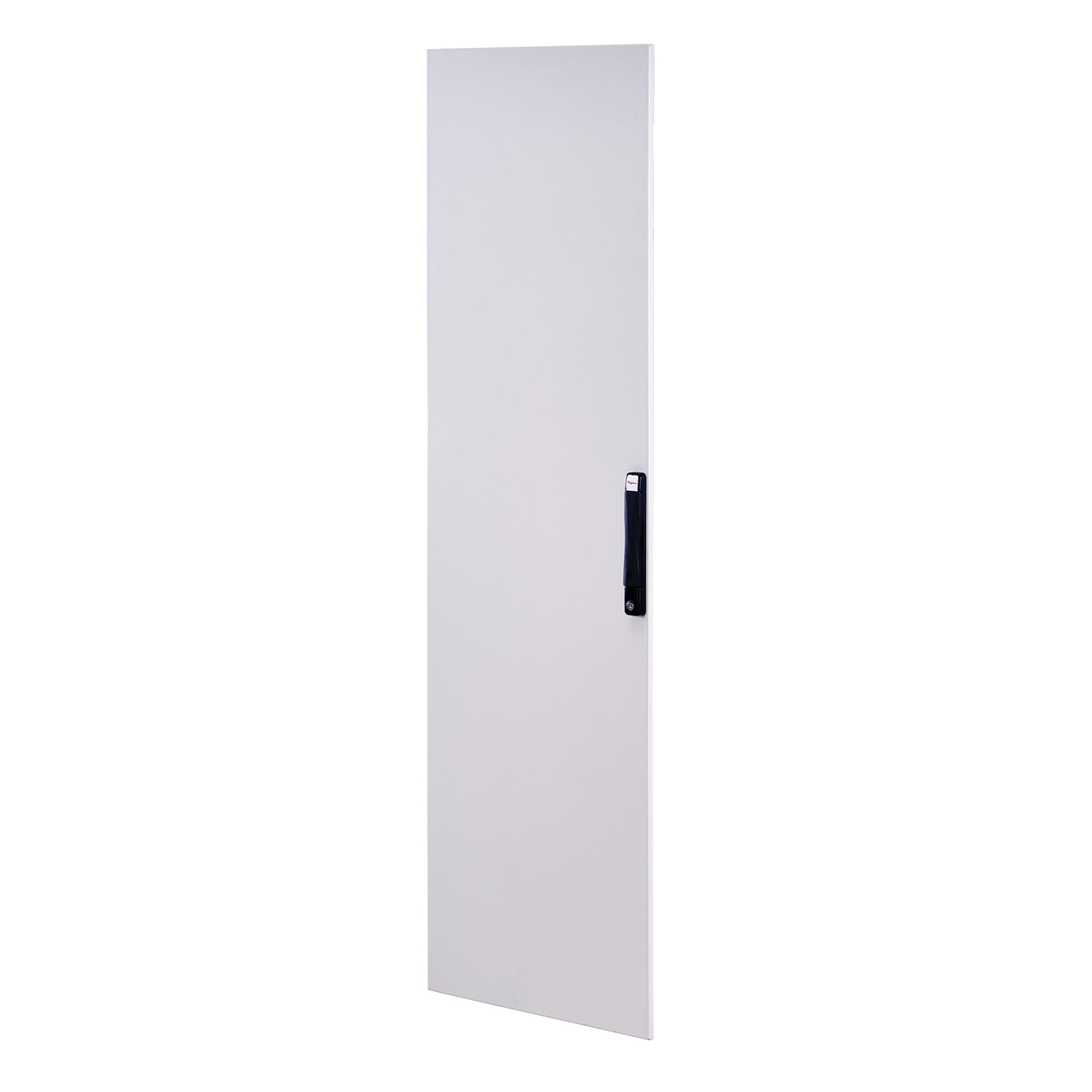P2D206 ProLine P40 Single Solid Door, 78.1 in H x 23-1/2 in W, For Use With 2000 mm H x 600 mm W Frames, Steel