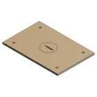Cover Plate for Multi-Gang Floor Boxes for Power and Communications, Length 4-1/2 Inches, Width 3 Inches, 3/4 Inch NPS Plug, Brass
