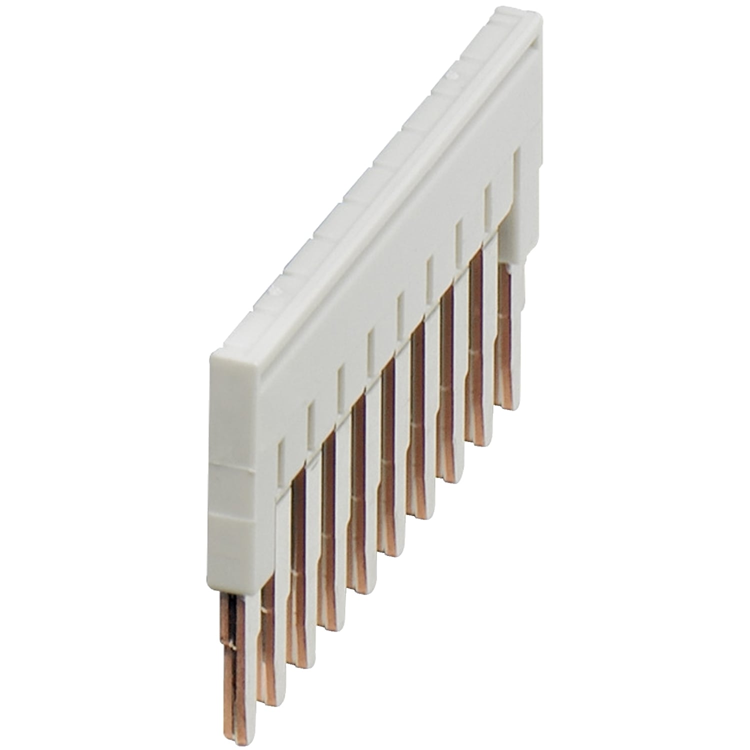 NSYTRAL210GR Linergy Plug-In Bridge, 10 Poles
