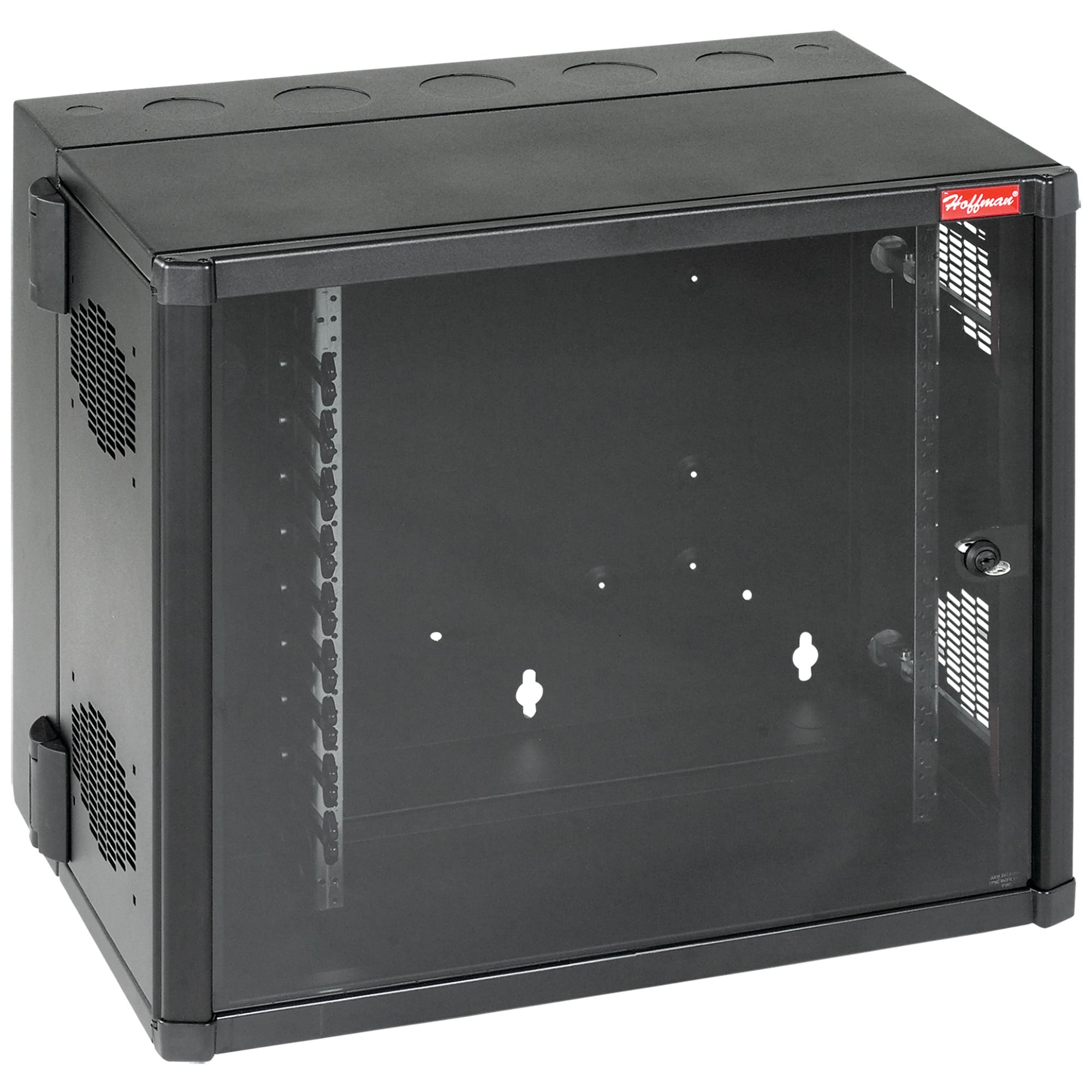 EWMW482825 AccessPlus DWDH1 Double Hinged Window Door Cabinet With Cable Manager, 48.03 in L x 27.56 in W x 25.09 in D, NEMA 1 NEMA Rating, Steel
