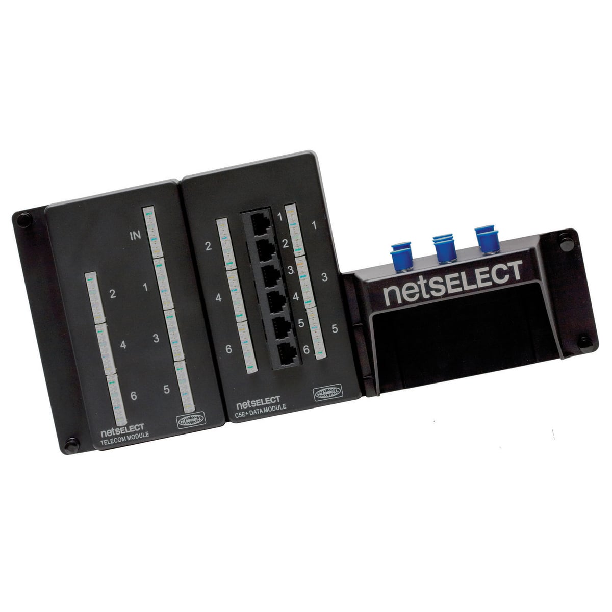 NSOTVDM6 6-Port Telephone/Cat 5e/Video Standard Combination Module, RJ45 Connection
