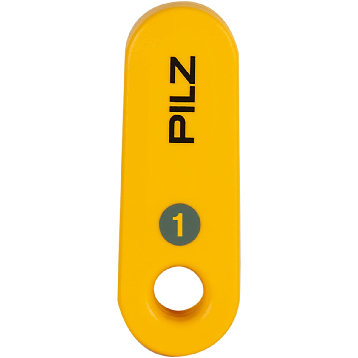 Transponder Key for PSEN cs4.1p, Grey "1" Marking