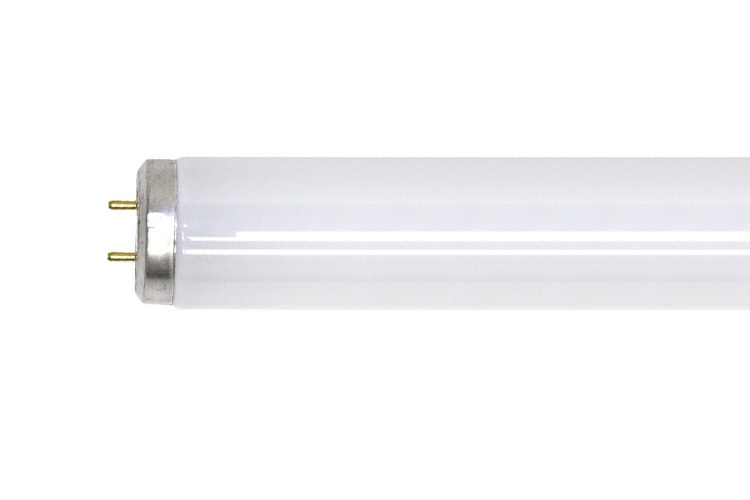 F40C50/ECO Linear Fluorescent Lamp, 40 W, G13 Lamp, 2250 Lumens, 90 CRI, 5000 K, 48 in L