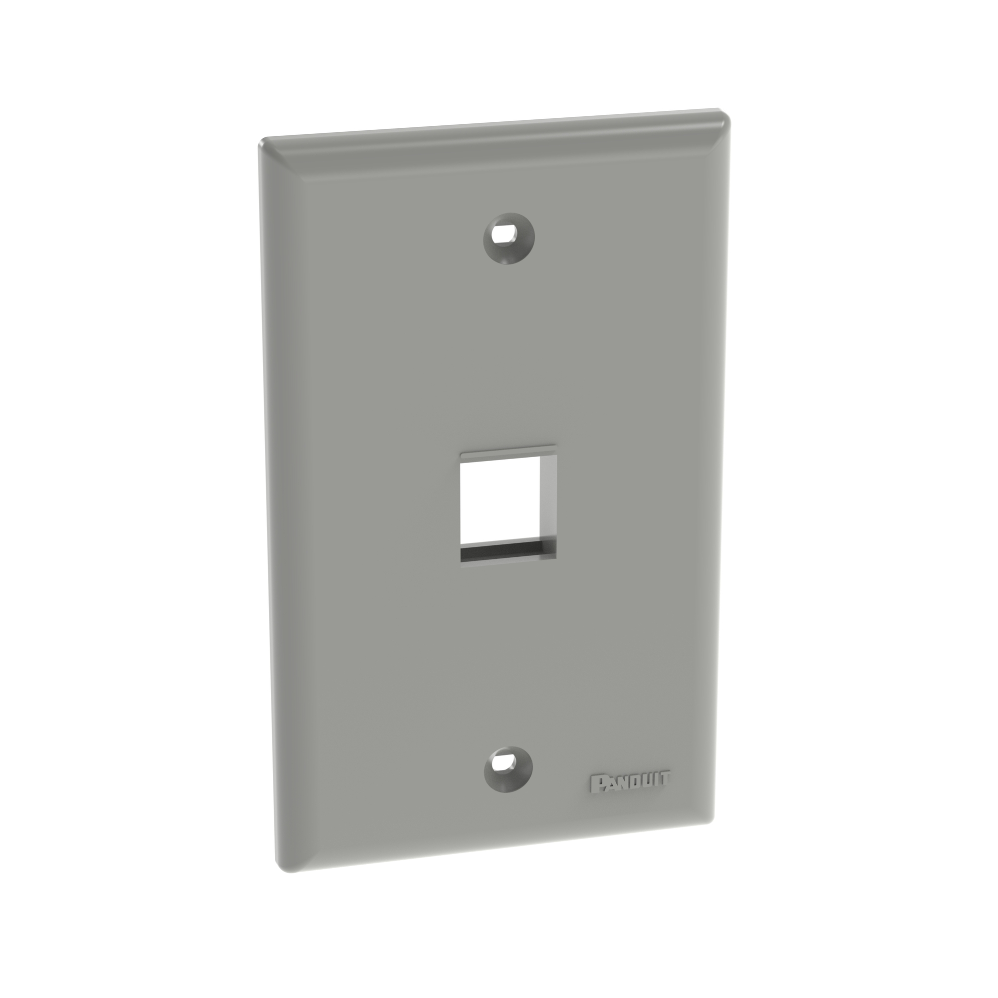 NetKey Faceplate, 1-Port, International Gray