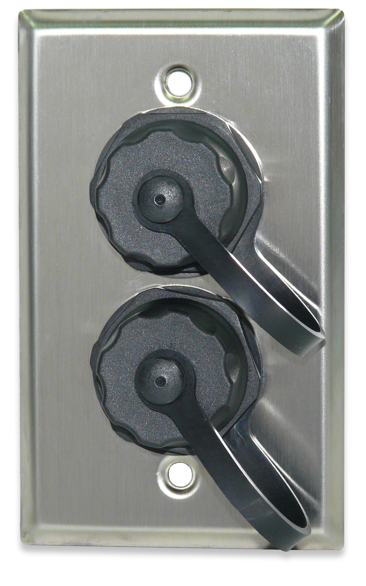 2-Port Industrial Grade Stainless Steel Faceplate