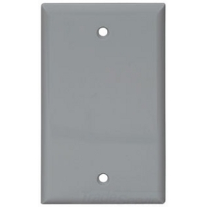 5129GY-BOX Arrow Hart 5000 Standard Blank Wall Plate, 1 Gangs, 2-3/4 in W x 4-1/2 in H, Nylon/Thermoplastic, Gray
