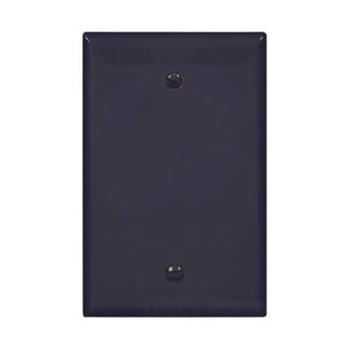 Eaton Blank wallplate, Box mount, Black, Blank Cutout, Polycarbonate, Single- gang, Mid-size