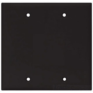 Eaton Blank wallplate, Box mount, Black, Blank Cutout, Polycarbonate, Two- gang, Mid-size