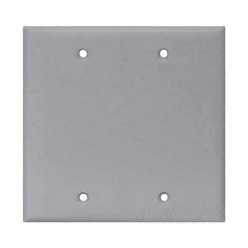 Eaton Blank wallplate, Box mount, Gray, Blank Cutout, Polycarbonate, Two- gang, Mid-size