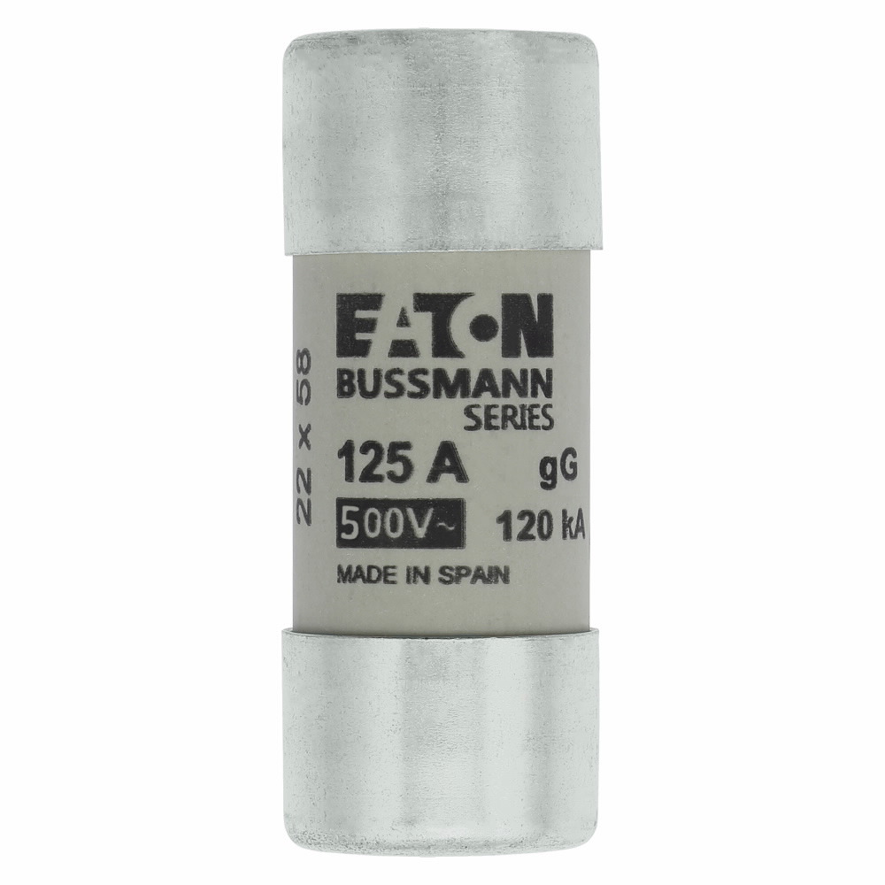 C22G125 Cylindrical Low Voltage Time Delay Fuse, 125 A, 400 V, Class: GL/GG/C, Cylindrical Body