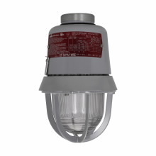 EVI301 Explosionproof Luminaire With Guard, (1) Lamp, 120 VAC, Epoxy Powder Coated Housing