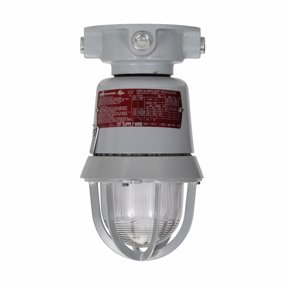 EVICX2301 Explosionproof Luminaire With Guard, PS25 Lamp, 120 VAC, Epoxy Powder Coated Housing