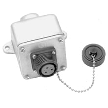 RPE017 009 Dust Cap With Eyelet