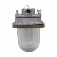 V160 Blazer Medium Vaporproof Light Fixture, (1) Incandescent Lamp, 45 W Fixture, 120/277 VAC, Electro-Galvanized Housing