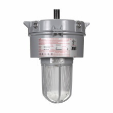 VMVM2C100GP/MT Lamp Fixture With Globe and Guard, 120 VAC