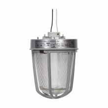 VXH15GP Vaporgard Ceiling Mount With Globe, Guard